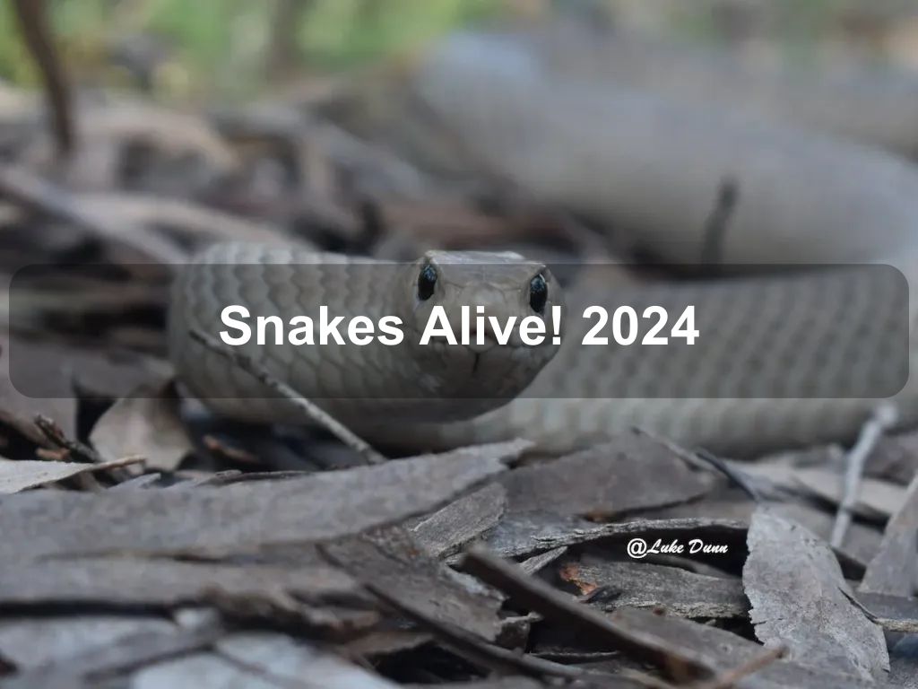 Snakes Alive! 2024 | Acton