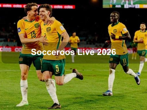 Canberrans can cheer on the Socceroos during their FIFA World Cup campaign live in the city at the Garema Place watch party