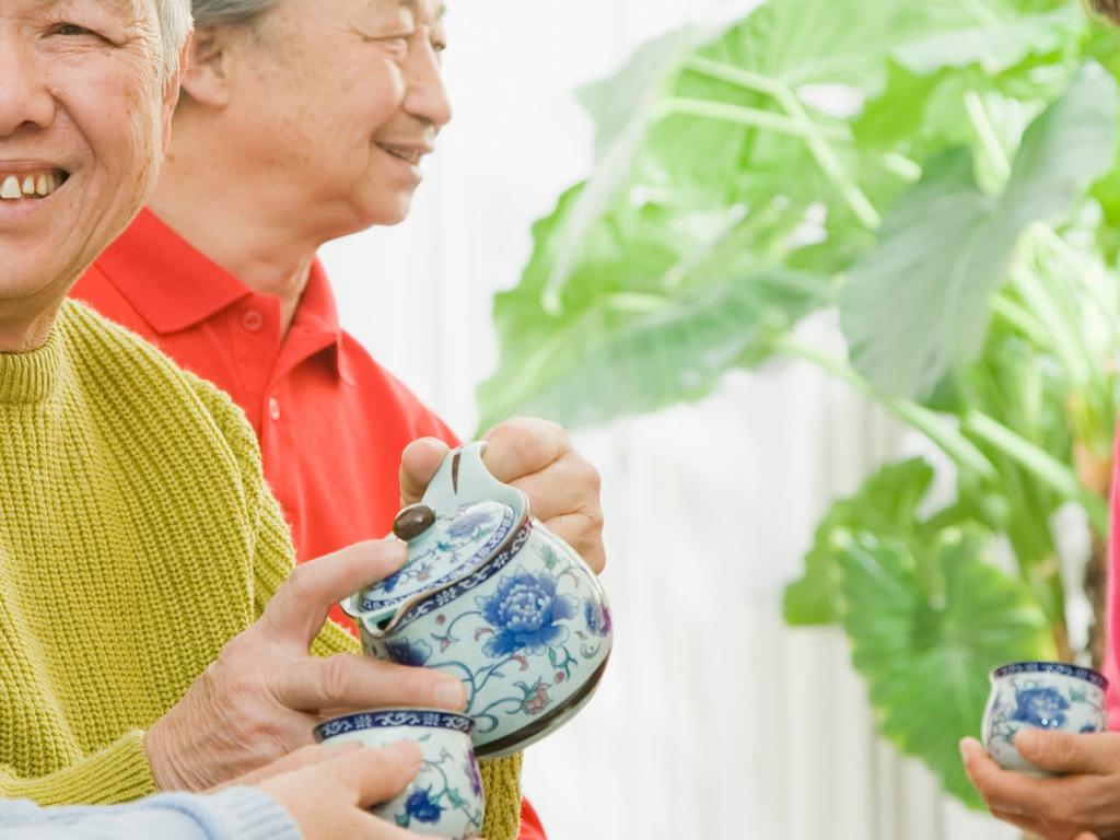 Social Group for Chinese speaking seniors 2023 | What's on in Ultimo