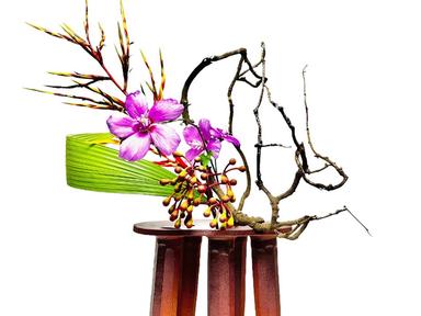 Sogetsu Ikebana Queensland is holding its annual exhibition at Brisbane Botanic Gardens Mt Coot-tha on Saturday 13 and Sunday 14 June, from 10am to 4pm... Sogetsu Ikebana Queensland is holding its annual exhibition at Brisbane Botanic Gardens Mt Coot-tha on Saturday 13 and Sunday 14 June, from 10am to 4pm...