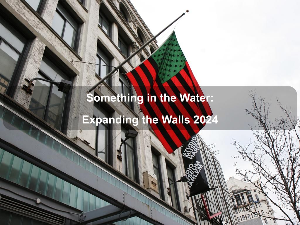 Something in the Water: Expanding the Walls 2024 | What's on in Manhattan NY