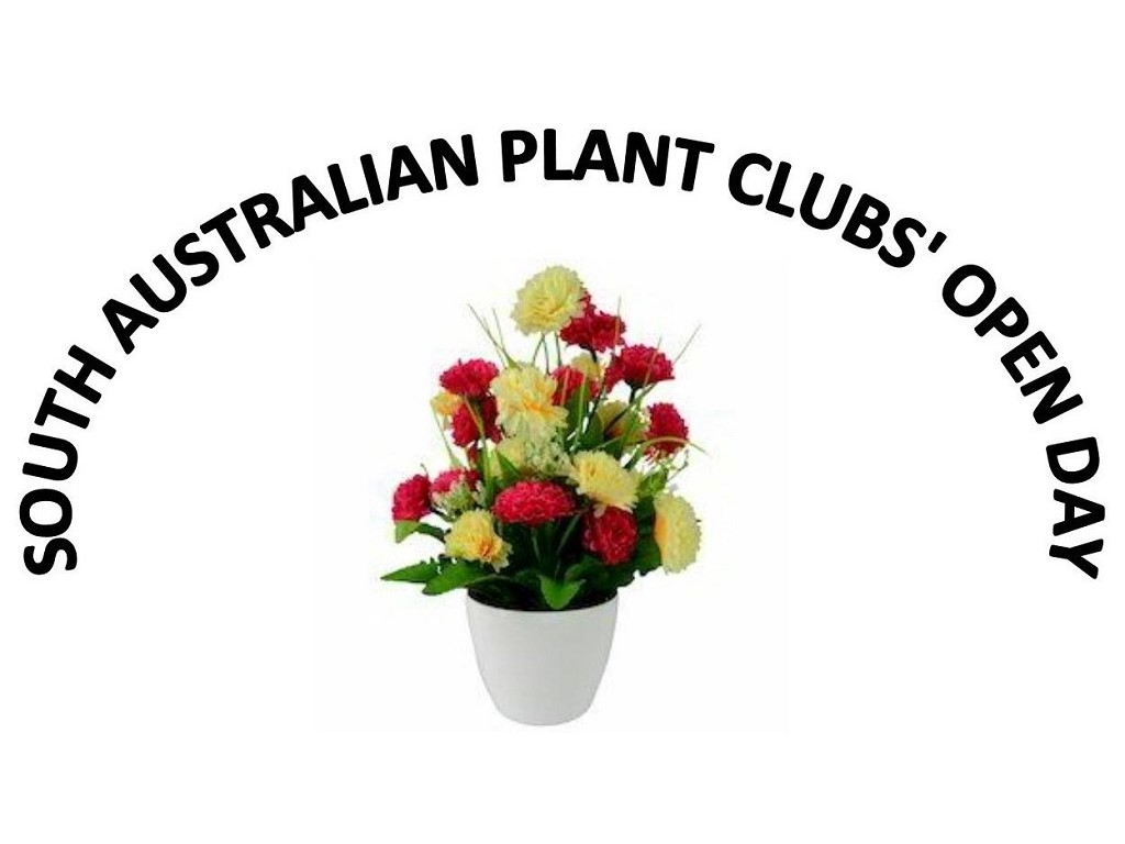 South Australia Indoor Plant Clubs' Open Day 2021 | Brooklyn Park