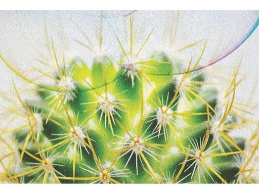 Speed Dating with Cacti stars a cast of dozens, all of whom are experts of the present moment. The work looks at the rap... Speed Dating with Cacti stars a cast of dozens, all of whom are experts of the present moment. The work looks at the rap...