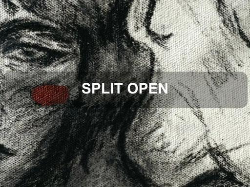 SPLIT OPEN' is Natasha Tareen's debut solo exhibition SPLIT OPEN' is Natasha Tareen's debut solo exhibition