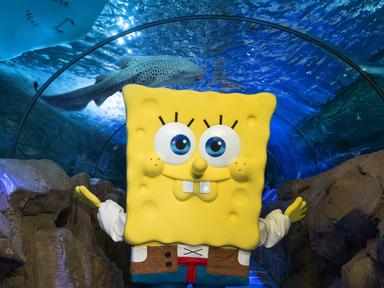 Dive into an Underworld Adventure with SpongeBob at SEA LIFE Sydney Aquarium! This summer, join SpongeBob, Patrick, and ...