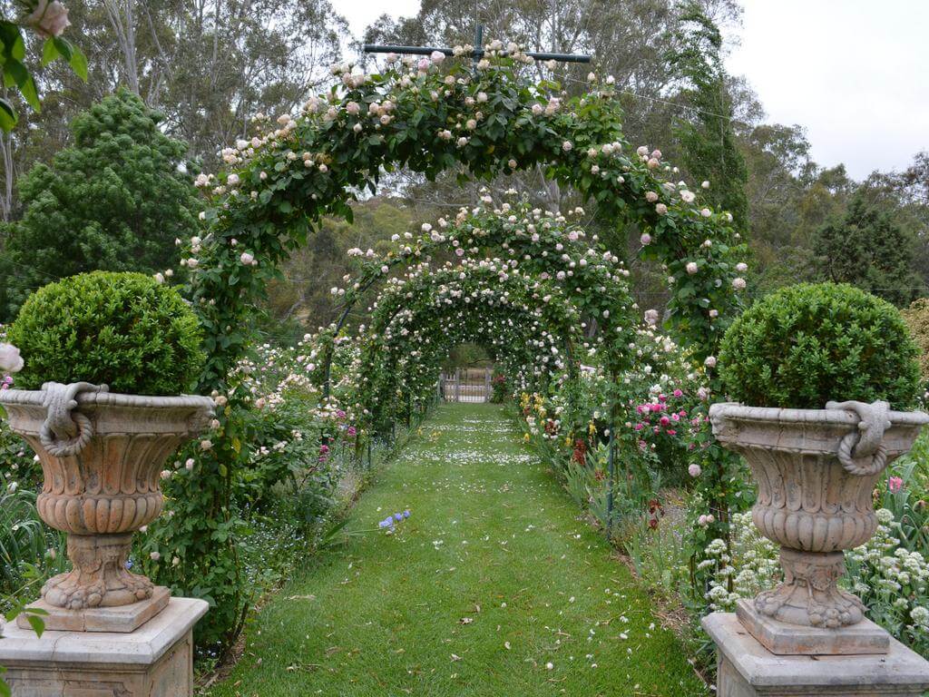 Spring Open Garden days at The Heritage Garden 2023 | What's on in Clare Valley