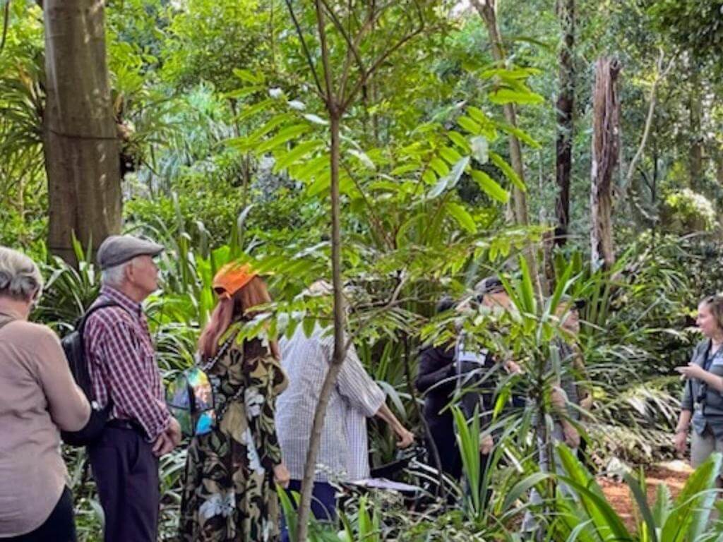 St Luke's dementia program in the Botanical Gardens 2022 | What's on in Sydney