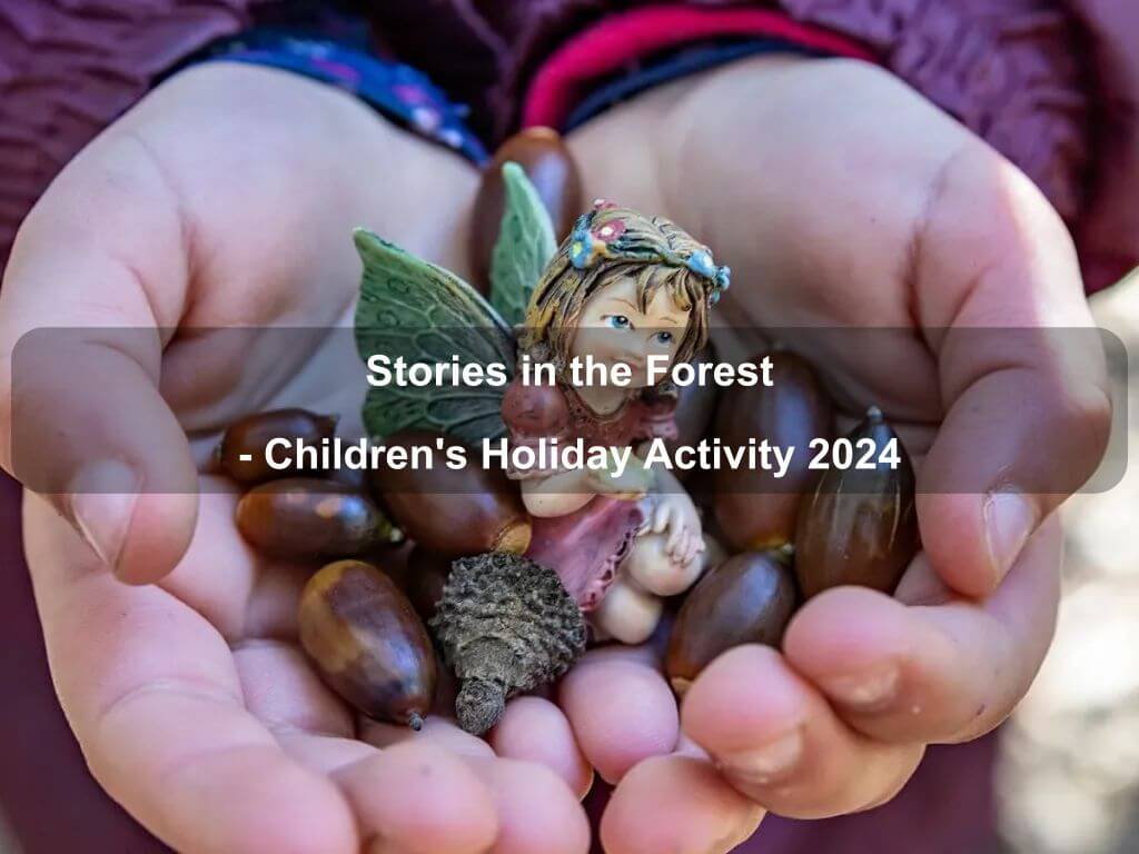 Stories in the Forest - Children's Holiday Activity 2024 | What's on in Molonglo Valley