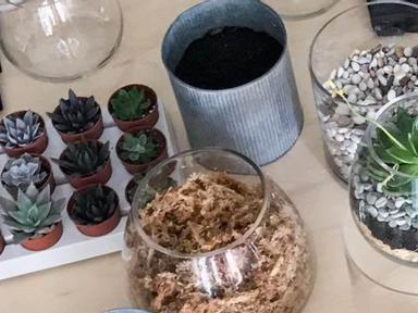 Learn how to make a DIY open succulent terrarium (yours to keep), in this fun and easy workshop in Sydney.In case you di...