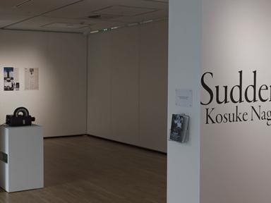 Suddenly This Overview is a solo exhibition by Kosuke Nagata, a Japanese contemporary artist based in Kanagawa. Curated ...