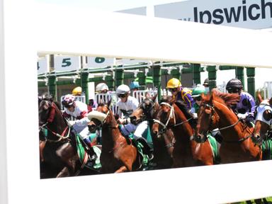 Join them for racing this Summer at Ipswich. Live thoroughbred racing, bars and restaurant available. Bring the family a...