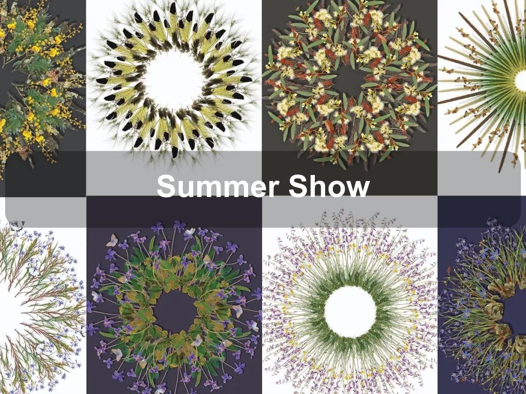 Summer Show | Lights, Camera + Action! 2025 | What's on in Watson