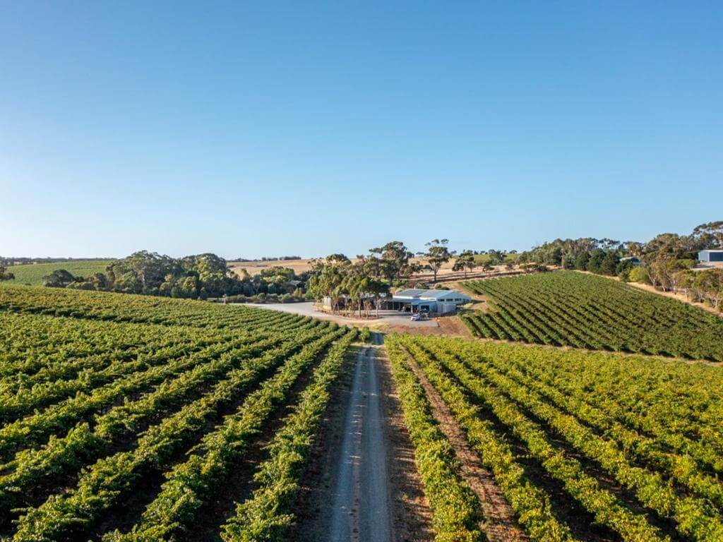 SummerVines: Oliver's Taranga Terroir Tour 2023 | What's on in Mclaren Vale