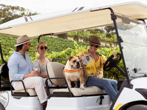 Ollie' the Golf Buggy awaits for a personalised SummerVines edition of the Oliver's Taranga Terroir Tour… If you have e...