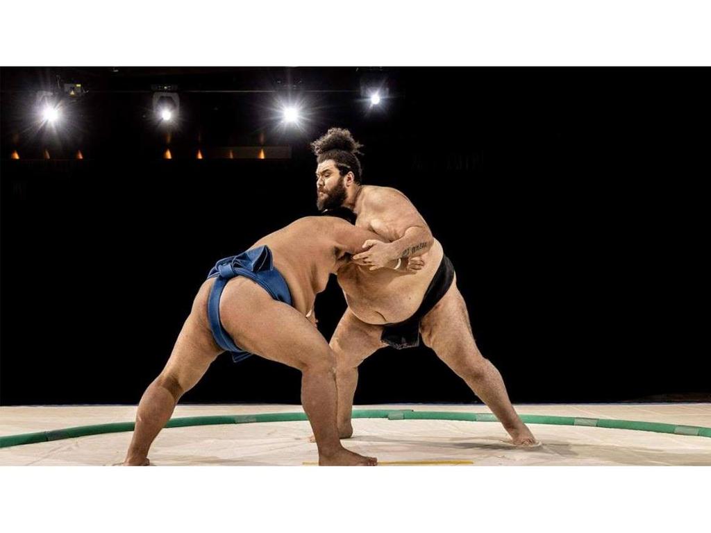 Sumo International Down Under 2024 | What's on in Darling Harbour