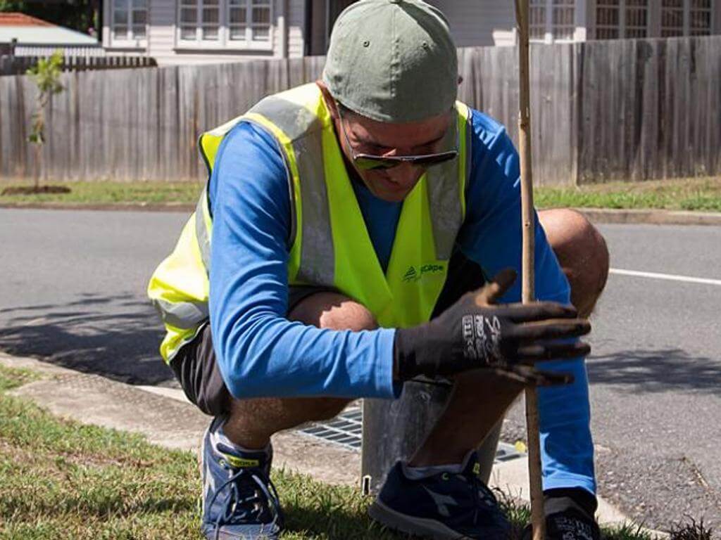 Sunnybank community street tree planting event 2022 | What's on in Sunnybank