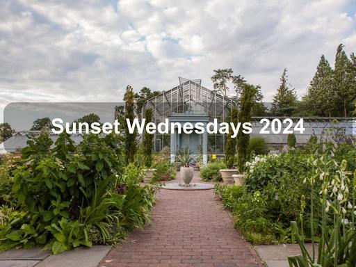 Wave Hill's annual favorite-Sunset Wednesdays-returns in 2024