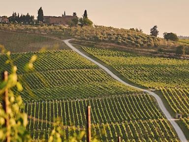 Tuscany is famous for the 'Super Tuscans' and their incredible production of wines from international varieties like Cab...