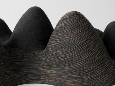 Simplicity, line, material, surface, and form are the focus of Robyn Campbell’s art practice.