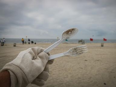 Summer of STEM is a two-day holiday program that provides teenagers who have an interest in Science, Technology, Engineering, and Math (STEM) with an opportunity to learn about beach plastics in Bunbury.