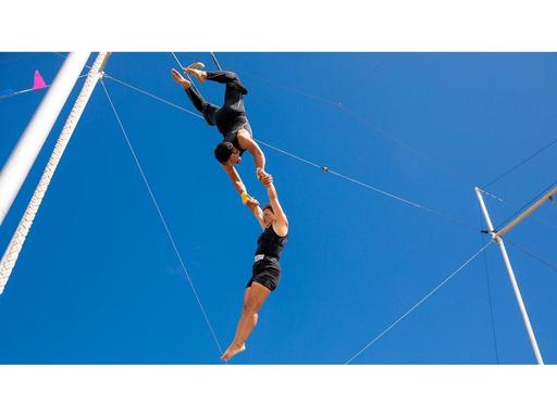 Bring the whole family to marvel at free outdoor trapeze shows, soaring twice a day during Sydney Fest....