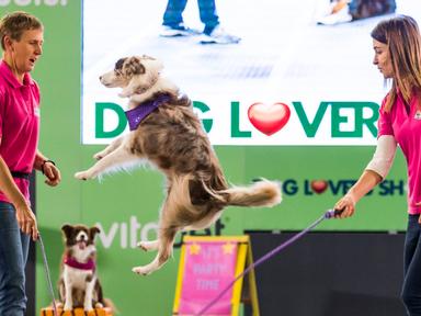 Witness awe-inspiring action in the Vitapet Arena with TV vet Dr Katrina Warren and The Wonderdogs- and an ast-hound-ing...