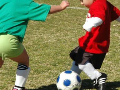 Modified soccer program for children aged 18 months -5 years. KGV is a home to the Sydney Lions Soccer Academy. The prog...