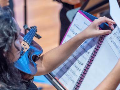 Presented by highly experienced music educators and HSC markers, the HSC Preparatory Course at SYO Summer School is spec...