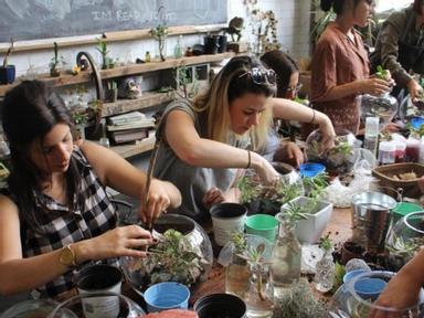 Learn how to bring some lush greenery indoors at this workshop for beginners