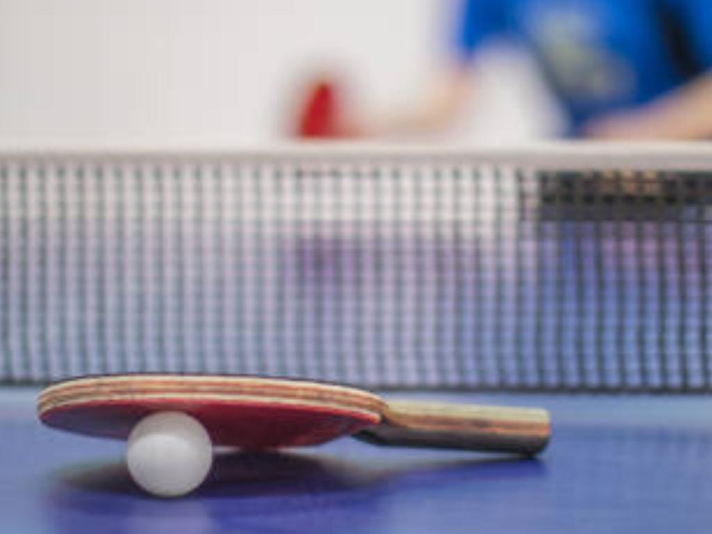 Table Tennis at Pyrmont Community Centre 2022 | What's on in Pyrmont