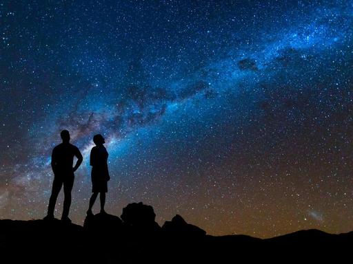 True food adventure leads you beyond the horizon. It encompasses an outback landscape dotted with fossils preserved in w... True food adventure leads you beyond the horizon. It encompasses an outback landscape dotted with fossils preserved in w...