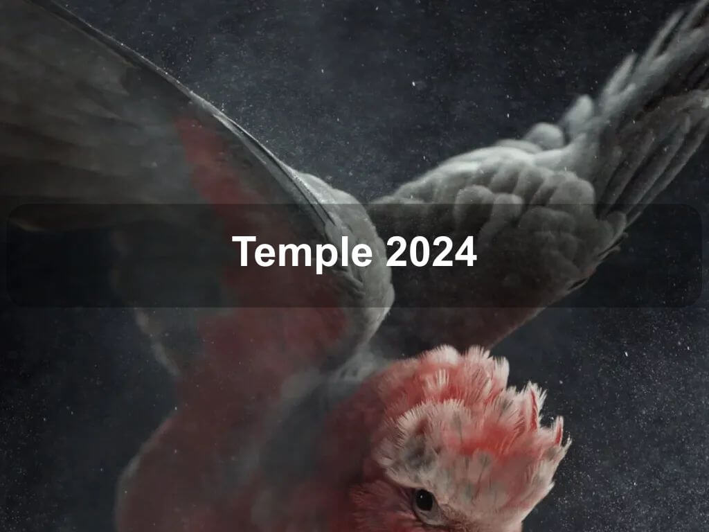 Temple 2024 | Acton
