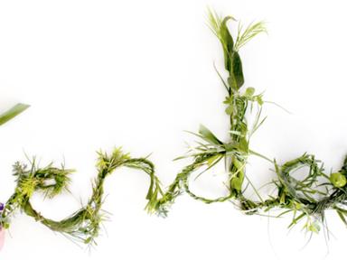 Tender is an exhibition explores acts of resistance and care. Emerging artist and curator Shelley Watters brings togethe...
