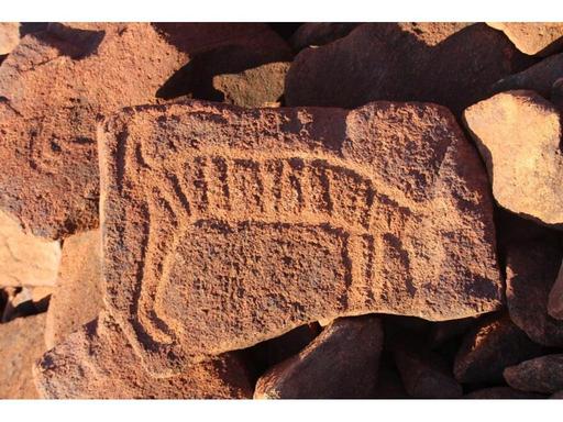 Murujuga, in WA's Pilbara, is home to the world's oldest and largest collection of petroglyphs/rock art carvings. It is ...