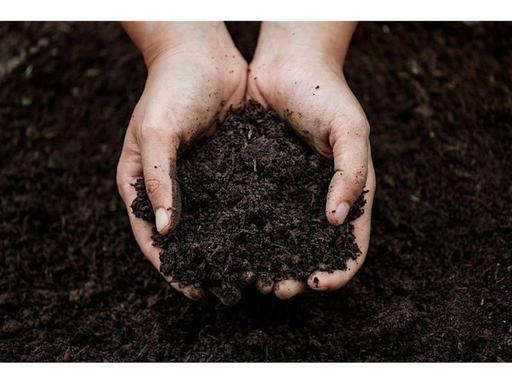 Refine your composting skills and learn how to build fertile soilAre you wanting to expand your composting skills?Do you...