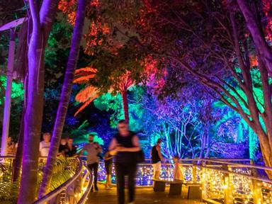Brisbane's largest interactive lighting display and a new sensory experience with 8000sqm of breathtaking lighting mediu...