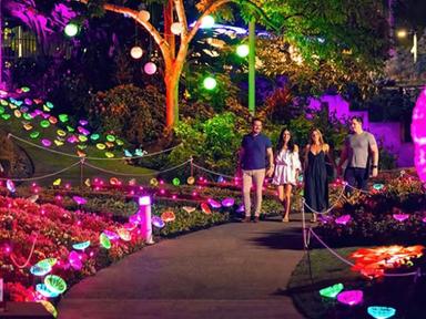 Brisbane's most anticipated light show, The Enchanted Garden presented by Royal Caribbean, is returning to Roma Street P...