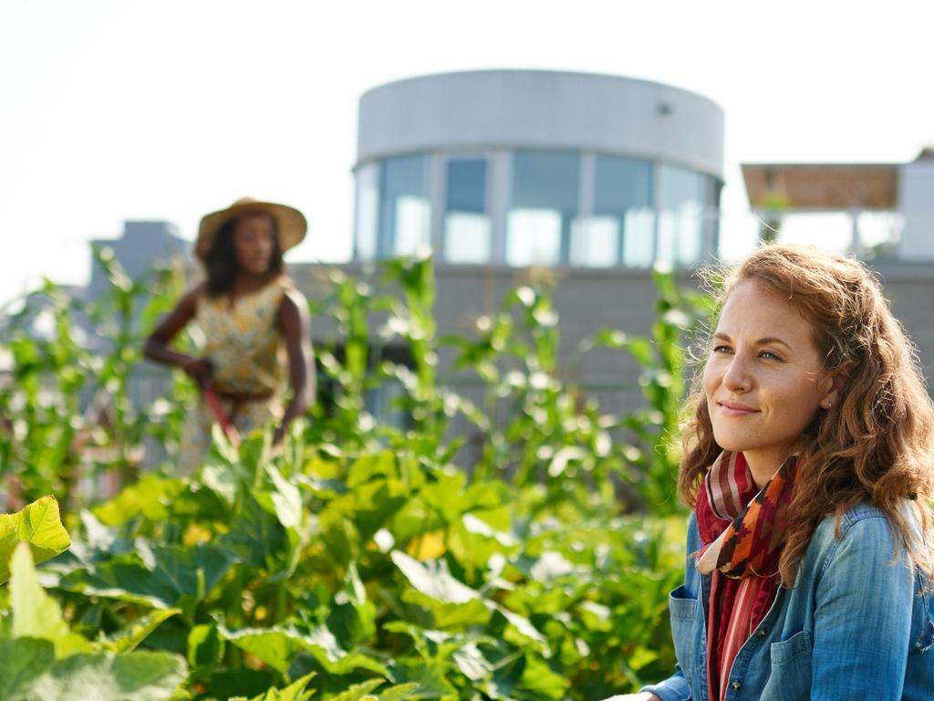 The Future of Food 2020 | What's on in Sydney