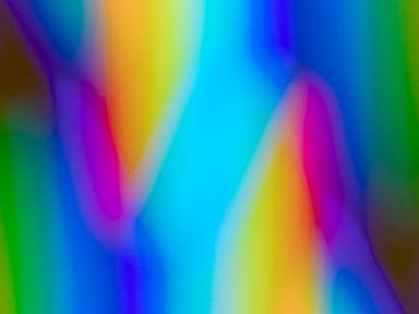 The Garden of Time is a group exhibition featuring works by six diverse artists from Australia and the Netherlands. The ... The Garden of Time is a group exhibition featuring works by six diverse artists from Australia and the Netherlands. The ...