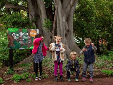 Pick up The Gruffalo Trail 2 throughout all 14 acres of Rippon Lea Estate