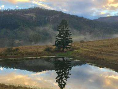 Welcome to the inaugural Lost World Trail Festival. The Lost World is a small pocket of the Scenic Rim which is fast bec...