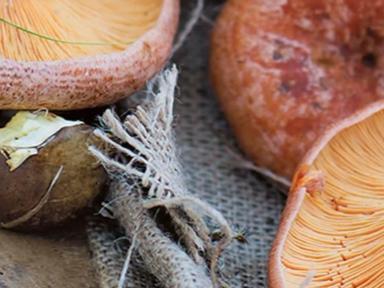 Mushrooms are a remarkable crop, growing in the dark with little resources to develop into food that is nutritious and n...