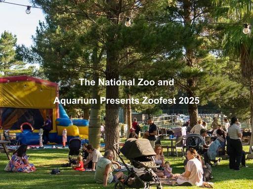 Zoofest Returns to the National Zoo & Aquarium: A Wild Day of Family Fun These School Holidays!The National Zoo & Aquarium is set to come alive with colour, music and adventure as Zoofest makes its much-anticipated return these school holidays Zoofest Returns to the National Zoo & Aquarium: A Wild Day of Family Fun These School Holidays!The National Zoo & Aquarium is set to come alive with colour, music and adventure as Zoofest makes its much-anticipated return these school holidays