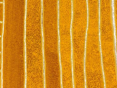 Alongside the major exhibition Papunya Tula: Genesis and Genius in 2000- the Art Gallery of New South Wales worked with ...