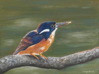 Step into a world where art meets nature at the Boondall Wetlands Environment Centre, currently hosting a public display by The Queensland Wildlife Artists Society....
