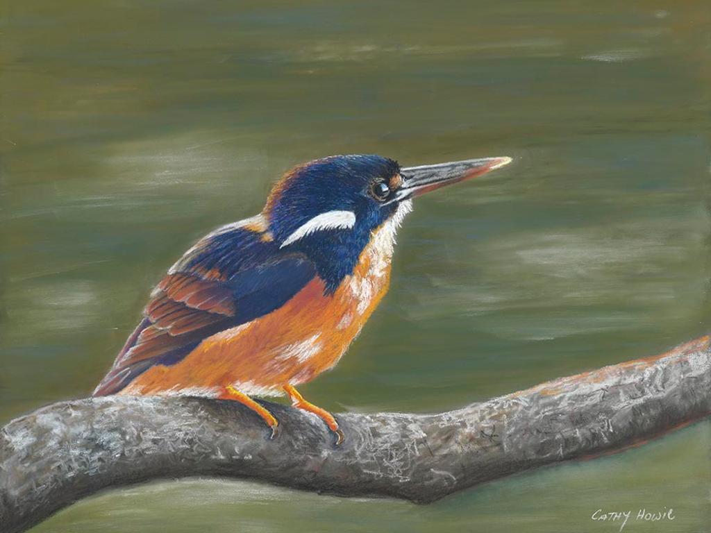 The Queensland Wildlife Artists Society Public Display 2025 | What's on in Brisbane City