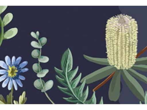 Come and listen to Professor Tim Entwisle, former Director of the Royal Botanic Gardens Victoria, talk about his wonderf... Come and listen to Professor Tim Entwisle, former Director of the Royal Botanic Gardens Victoria, talk about his wonderf...