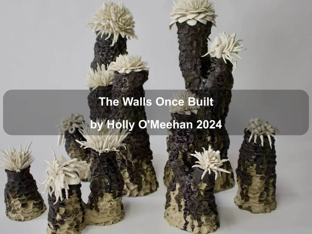 The Walls Once Built by Holly O'Meehan 2024 | What's on in Belconnen