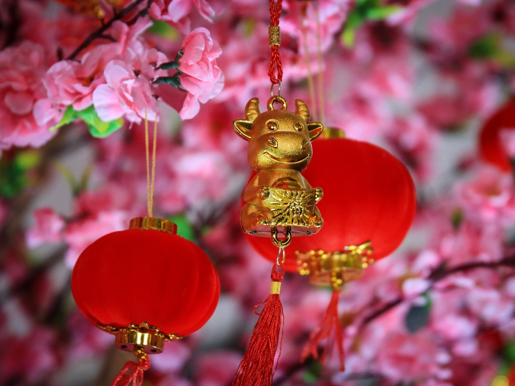 Things to do for Chinese Lunar New Year 2021 | UpNext