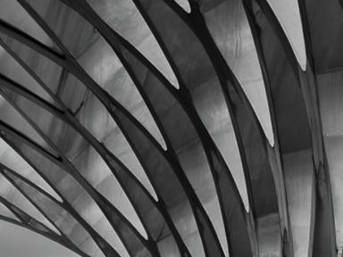 This is the biggest show we have ever had at Tiliqua Tiliqua. 96 artists. NINETY SIX!!!And we have just as many differen...